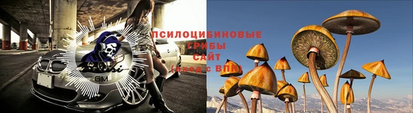 spice Богородск