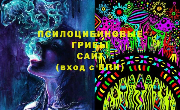 spice Богородск