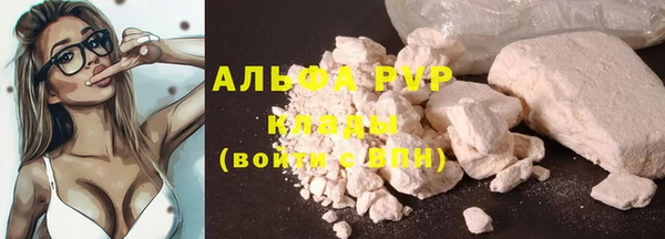 дмт Белокуриха
