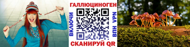 гидра   Белая Холуница  Галлюциногенные грибы Psilocybe 